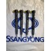 Ssangyong Rexton W Çıkma Enjektör